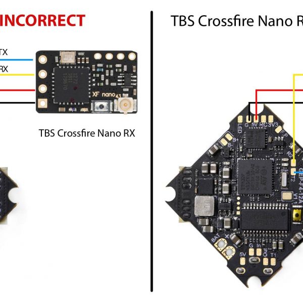 Gnarly Primo 1103 W Crossfire