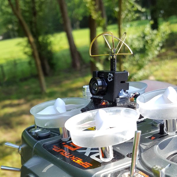 Blade Inductrix FPV (Tiny Whoop)